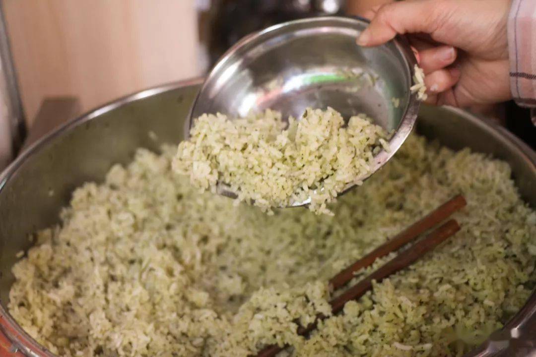 delicacy蛤蒌饭在湛江,一定要去吃白斩狗,湛江人食狗很讲究"老猫嫩狗