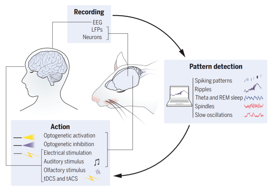 science.org/doi/10.1126/science.abm8113https://www.science.