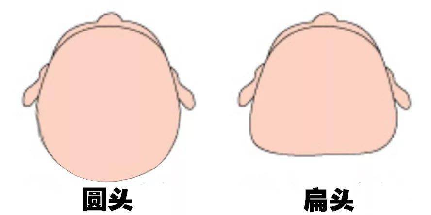 天生扁头各种发型丑哭了怎么办教你一招摆脱发型困扰