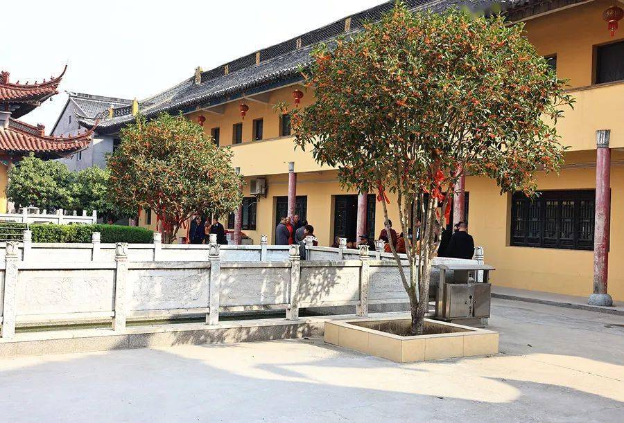 【航拍建湖】太平盛世 参拜太平禅寺_寺庙