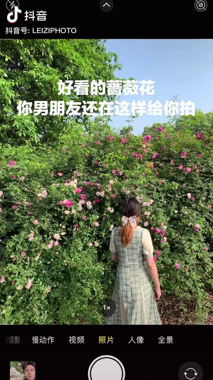 拍花必备手机摄影花蔡仲杨手机摄影