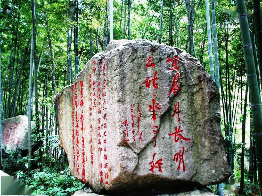 竹林听青色,冬日尝至鲜!你和冬笋绝配哦~_明月山