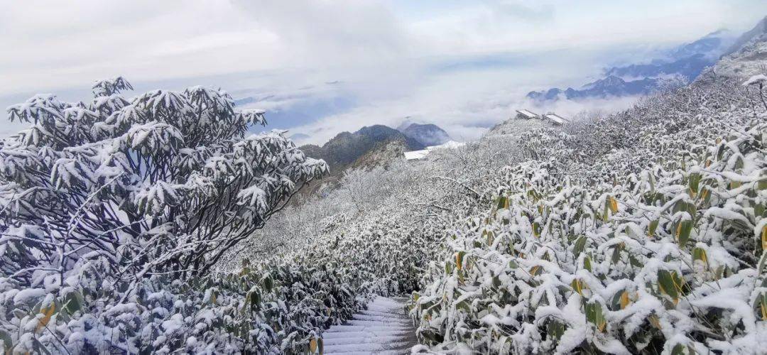 万源八台山:漫山覆雪 宛如仙境