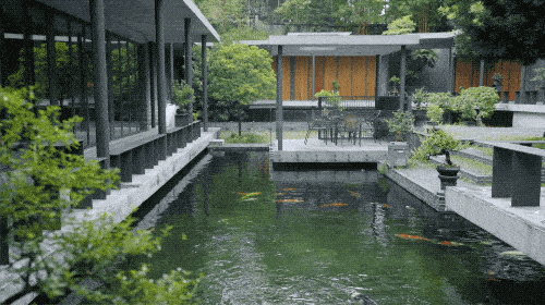 植物 再往里走 院子瞬间变得豁然开朗起来 仿佛文人诗画中的山水景观