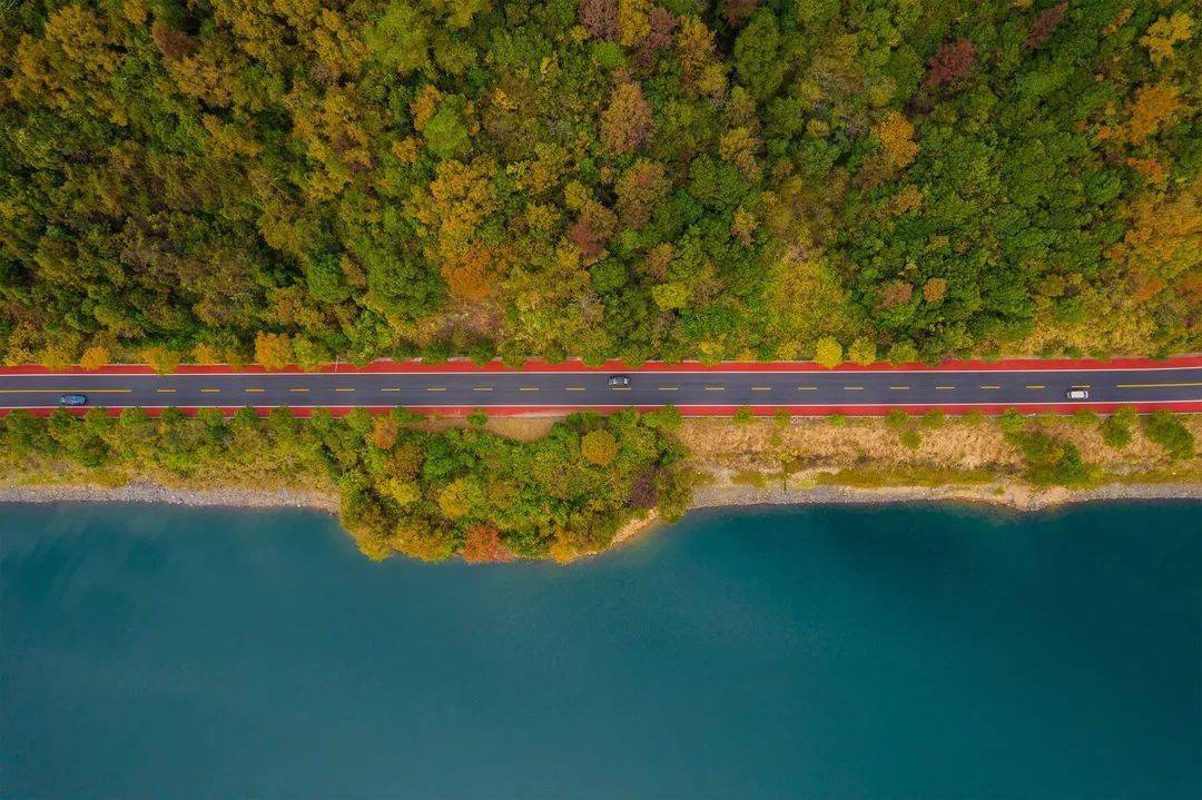 一路风景!浙江这几条公路自带"调色盘",自驾走起.