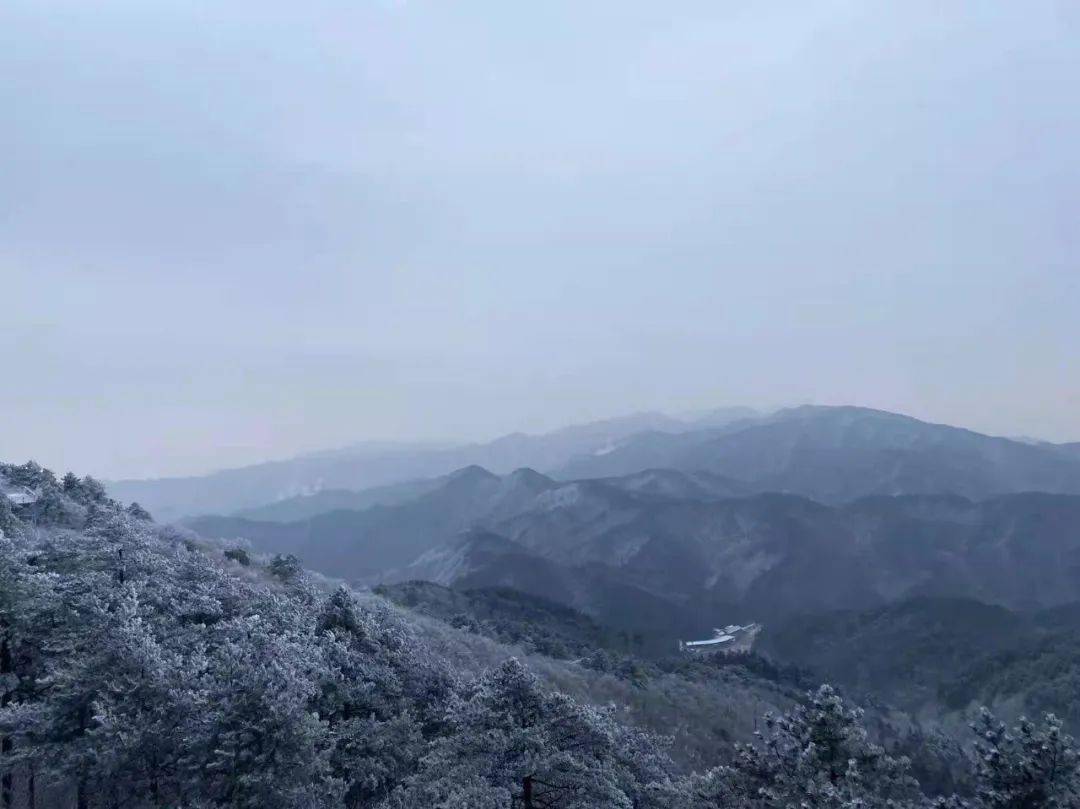 今晨临安大明山的雪景!