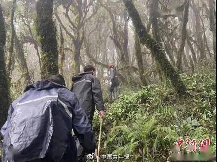 云南哀牢山4名地质人员遇难 更多细节公布