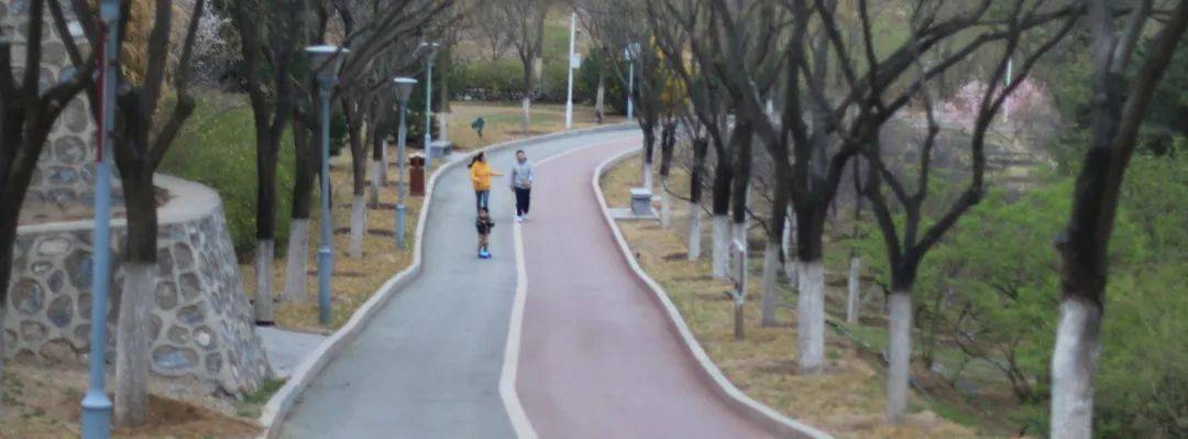 广东 深圳市/程延君 老年性痴呆,又称阿尔兹海默病(alzheimer's