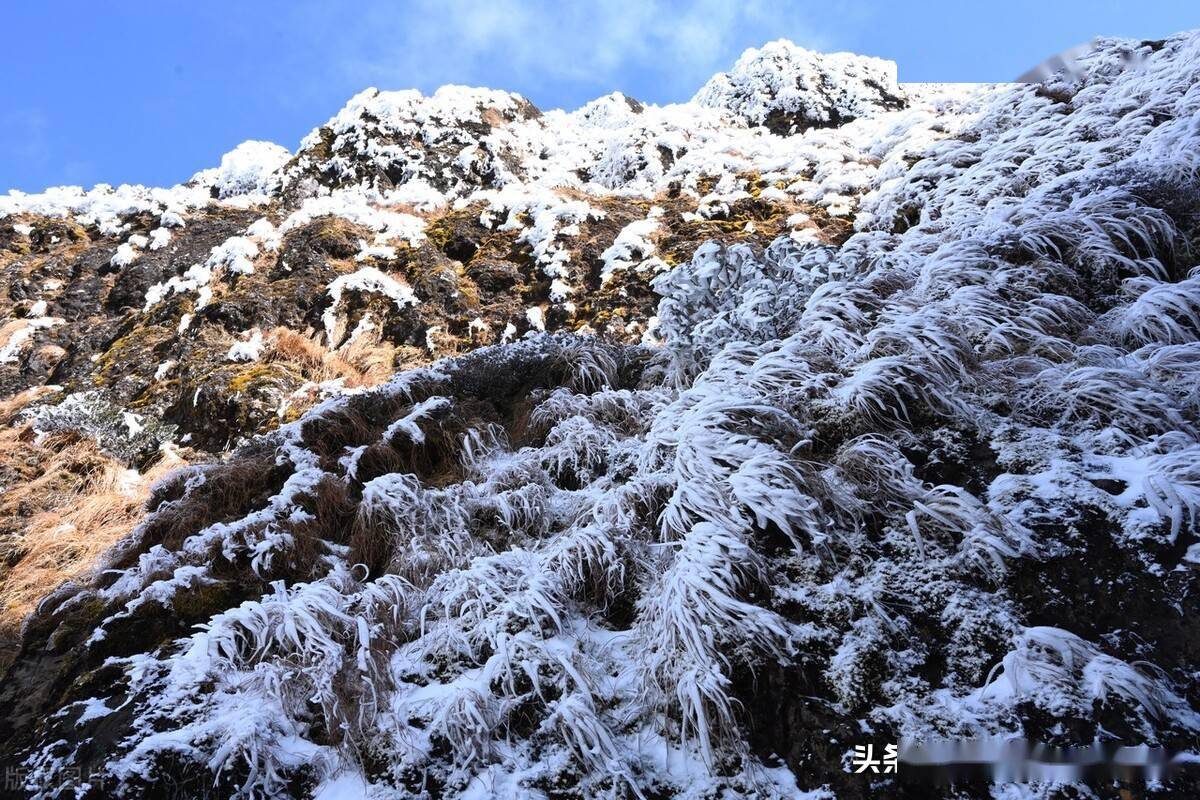 云南昆明首雪轿子雪山下雪了来感受昆明的冰雪世界