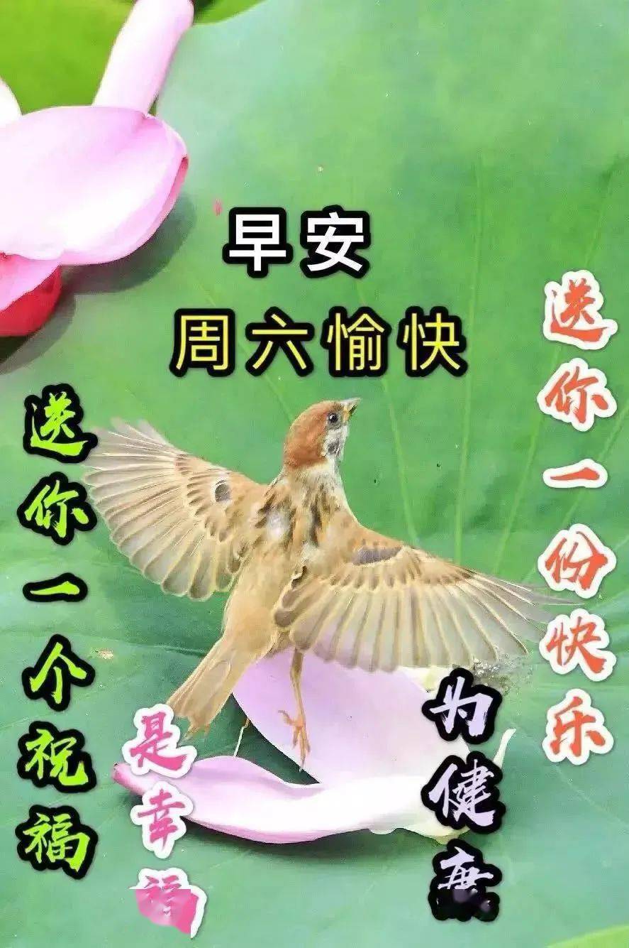 超好看的早上好动态表情图片精选分享 早上好暖心问候