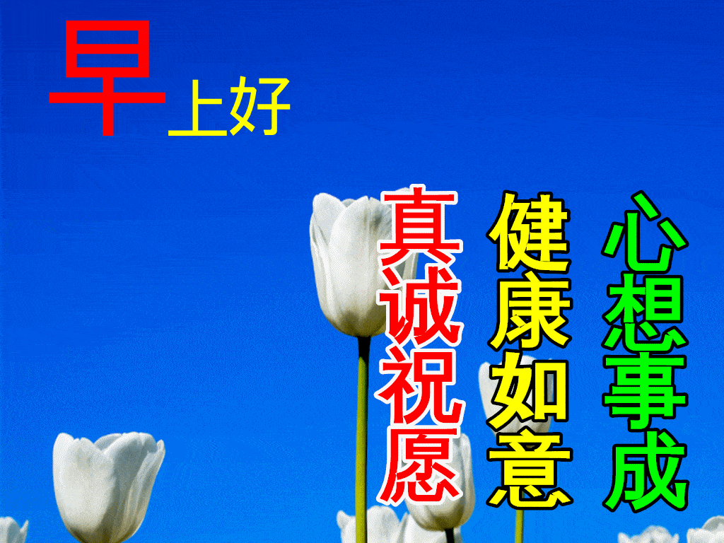 11月28日早上好图片,11月早上好图片大全 11月28日最新早上好动态表情图片大全,清晨早上好问候