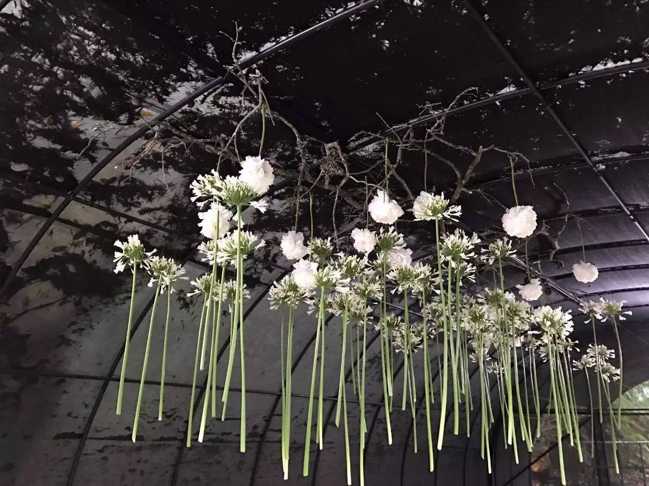 阳明山建筑师曾志伟：少少-原始感觉研究室