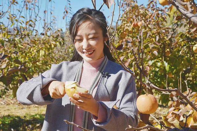 果大味甜水多,云南白药还用它做保健品_木梨_木崇凤_种植
