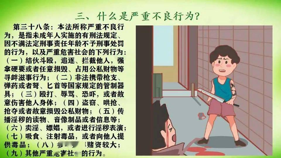 修订后的《中华人民共和国预防未成年人犯罪法》明确界定了不良行为和