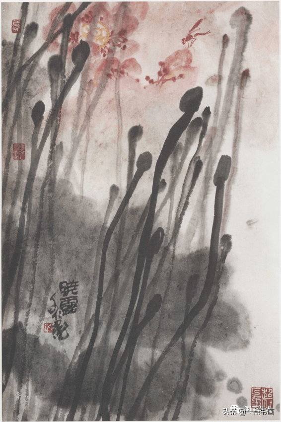 数点飞来荷花雨  爱莲( 摘录自山东美术出版社《画荷》,杨文仁著