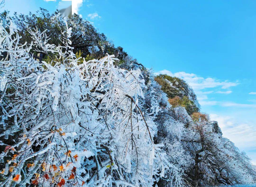 伴随霜冻而来的,还有桂北山区极美的雾凇