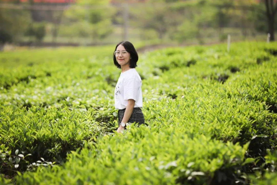 秋游大美佛山,与书香茶韵来一场浪漫约会_对川茶场_文化_茶叶