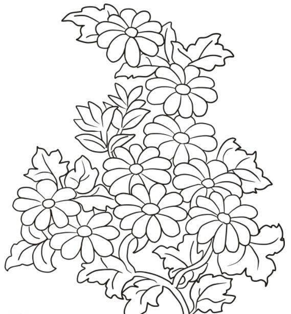 【黑白线稿】植物,花卉白描线稿,临摹素材_白描_花卉_植物