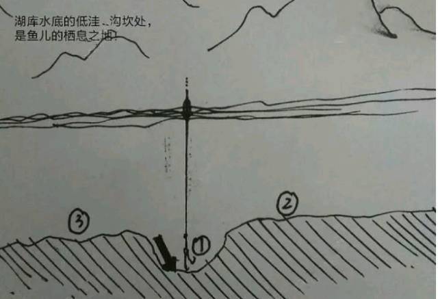 图片展示:野钓中,这几类钓点最藏鱼_鱼儿_地形_网箱