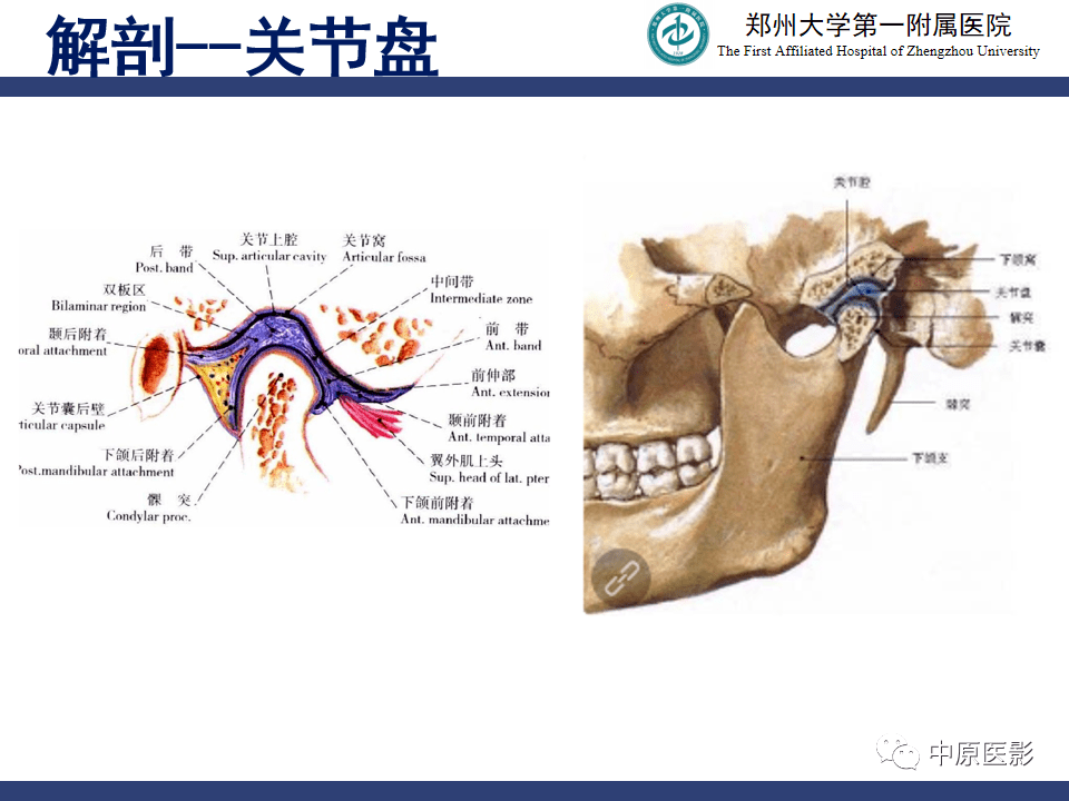 颞颌关节紊乱病的mri诊断