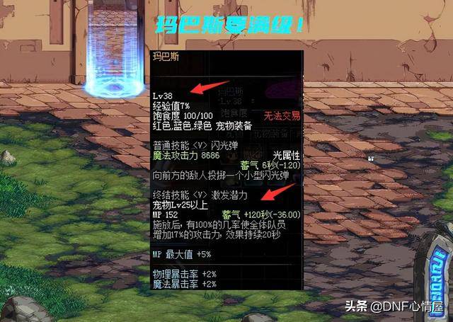 dnf神宠玛巴斯跌了拍卖行缩水一倍换装能提升20攻击力