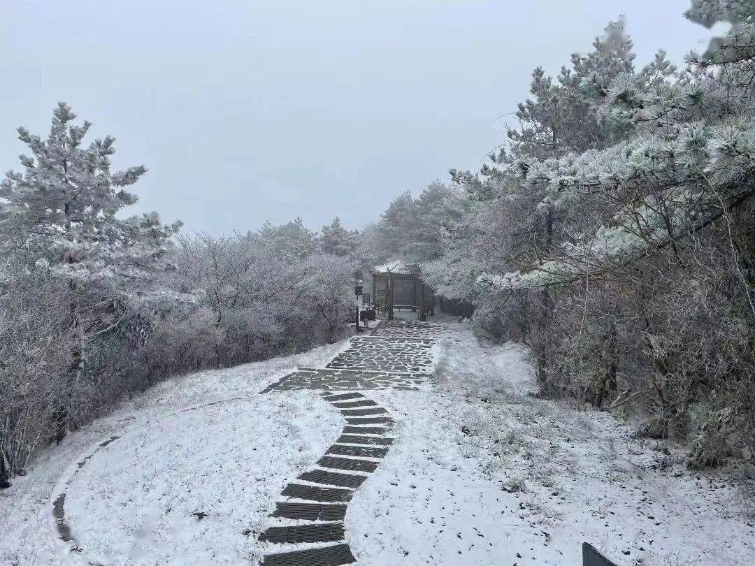 下雪了下雪了岳阳真的下雪了