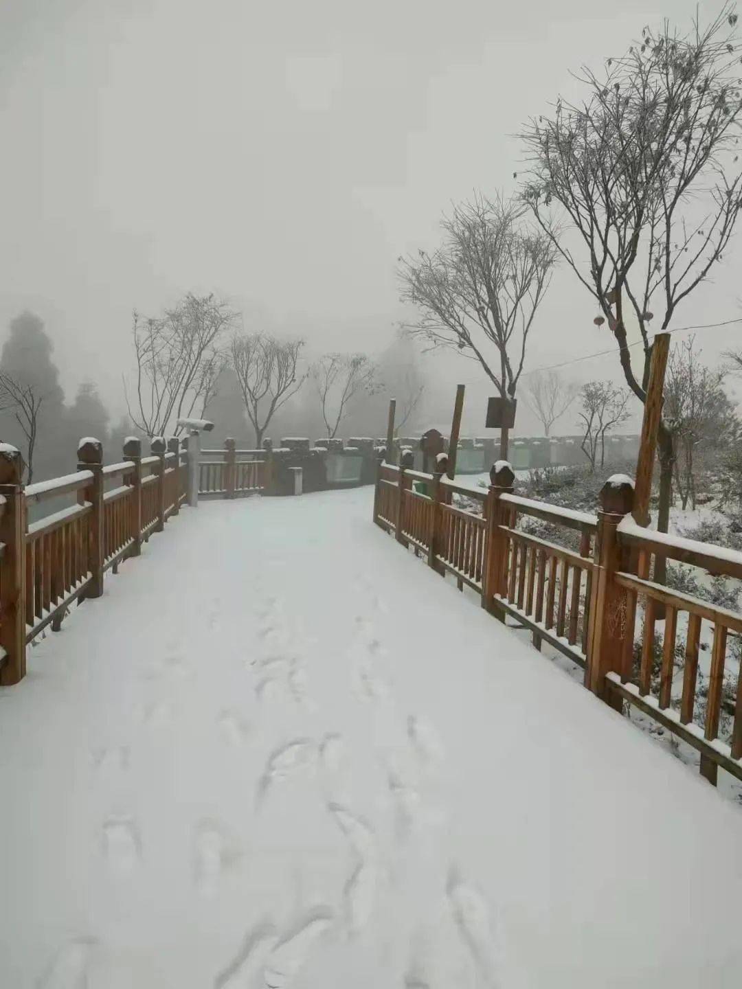 什邡山上下雪啦!_雪景_山区_景区