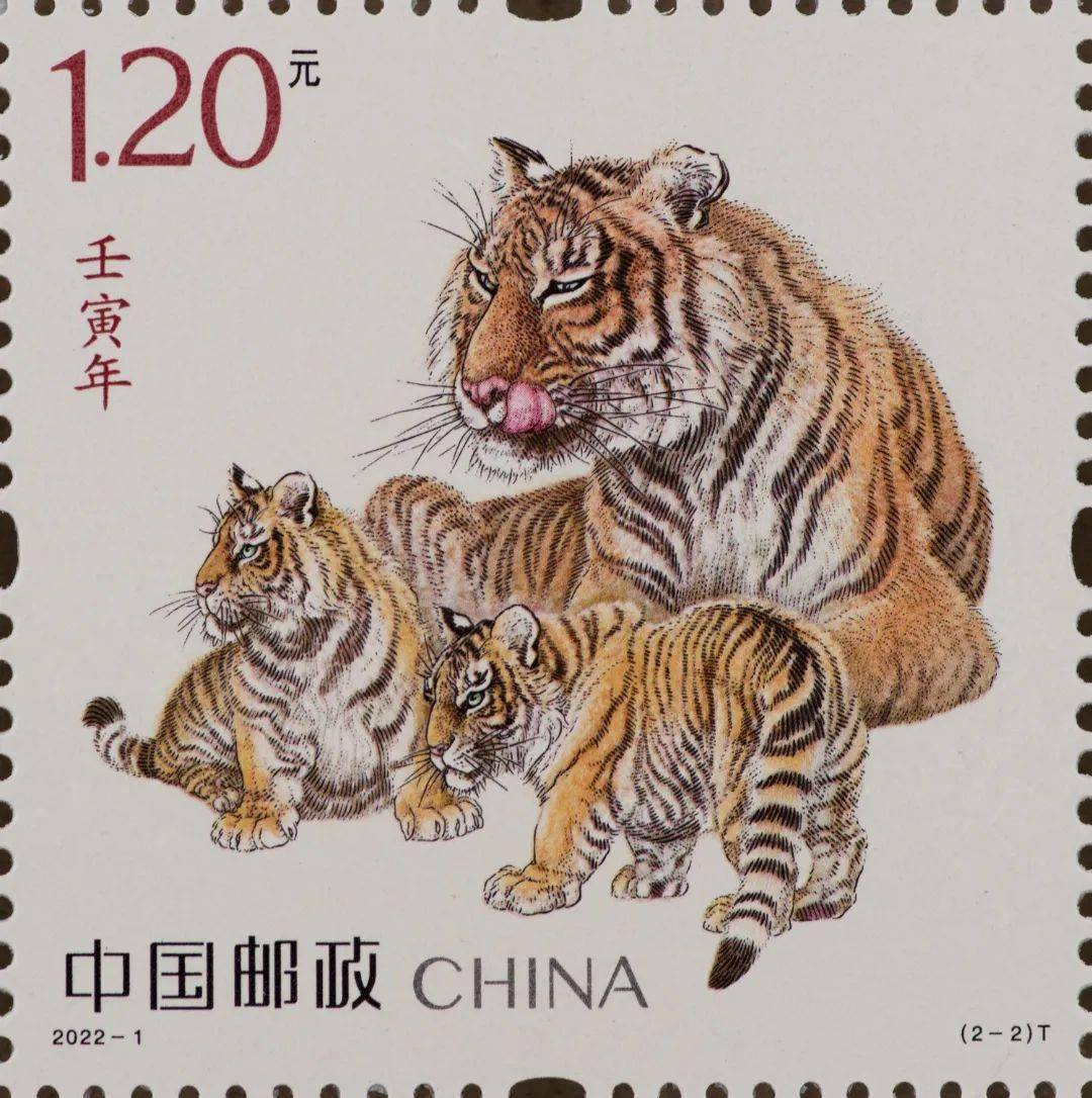 壬寅年特种邮票跃上新闻联播