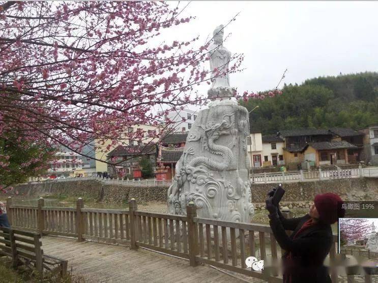 南靖:粉梅正浓,最美乡村石桥村_梅林村_景点_行程