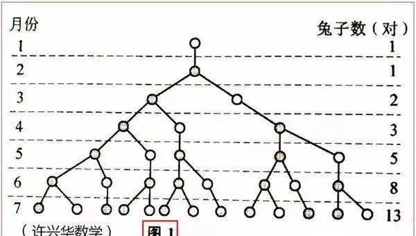 斐波那契数列兔子数列