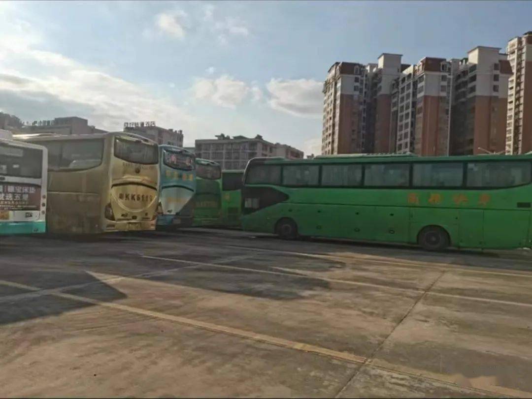 高州至深圳的客运班车停运深圳回高州需要隔离