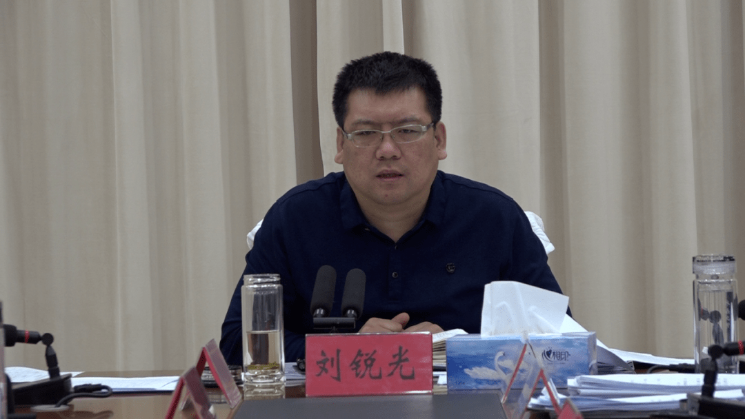 县政府党组召开党史学习教育专题民主生活会_作风_大名县_精神