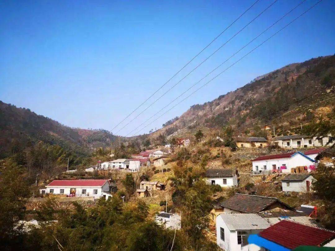 【百人写桐城 美丽杨头_头村_山顶_冬日