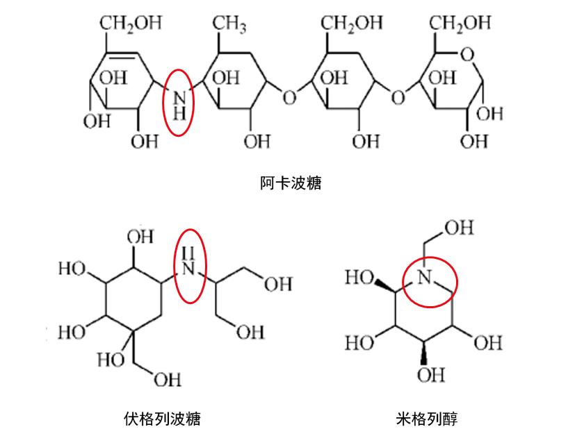 认识他们从化学结构开始:α-葡萄糖苷酶抑制剂家族成员[1]1α-葡萄