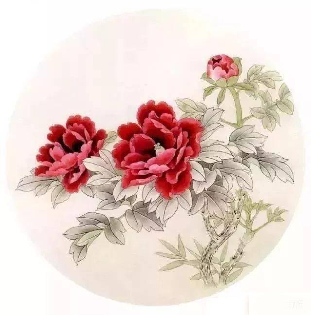 工笔圆扇牡丹画法一学就会