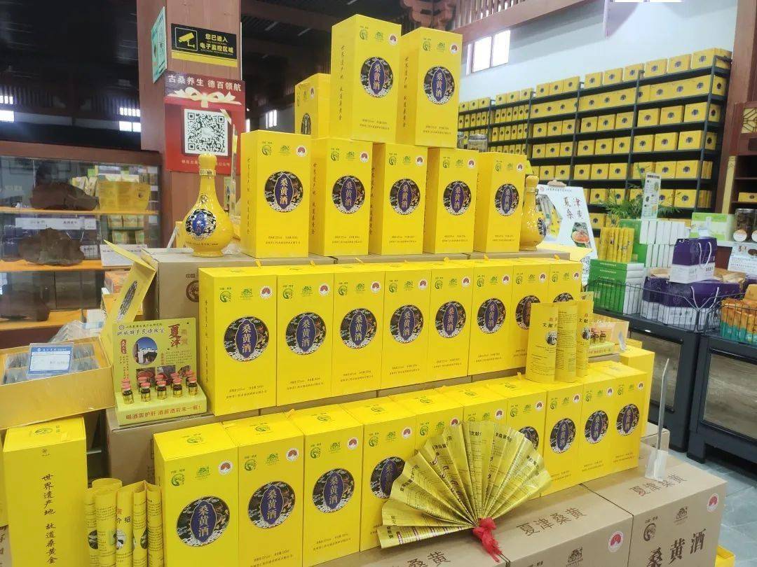 桑黄_夏津_免疫力