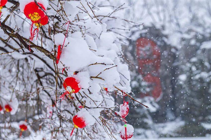 开工第一天瑞雪兆丰年常州雪景大合集