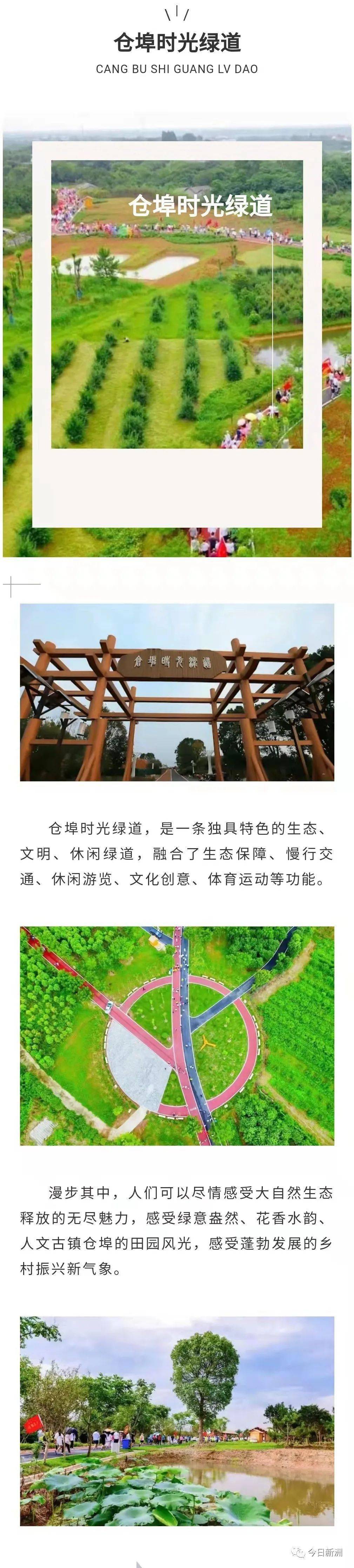 地址:紫薇都市田园景区这不,近日央视再次聚焦仓埠,《美丽家园》再现