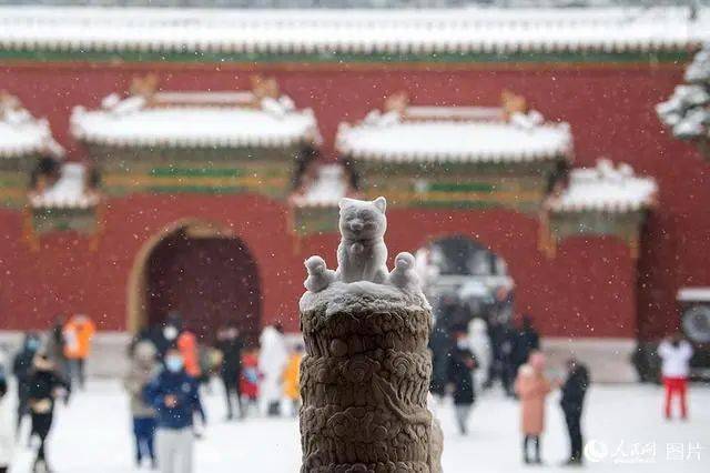 冬奥会喜迎大雪,看这些冰雪纪录片恰逢其时_冰川_balog_两极