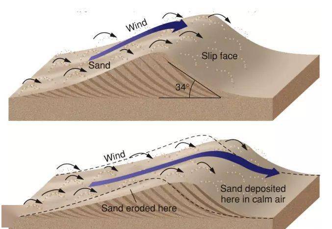 沙丘两侧不同的地质过程图解:纵向沙垄在风力的作用下,沙子不断往沙丘