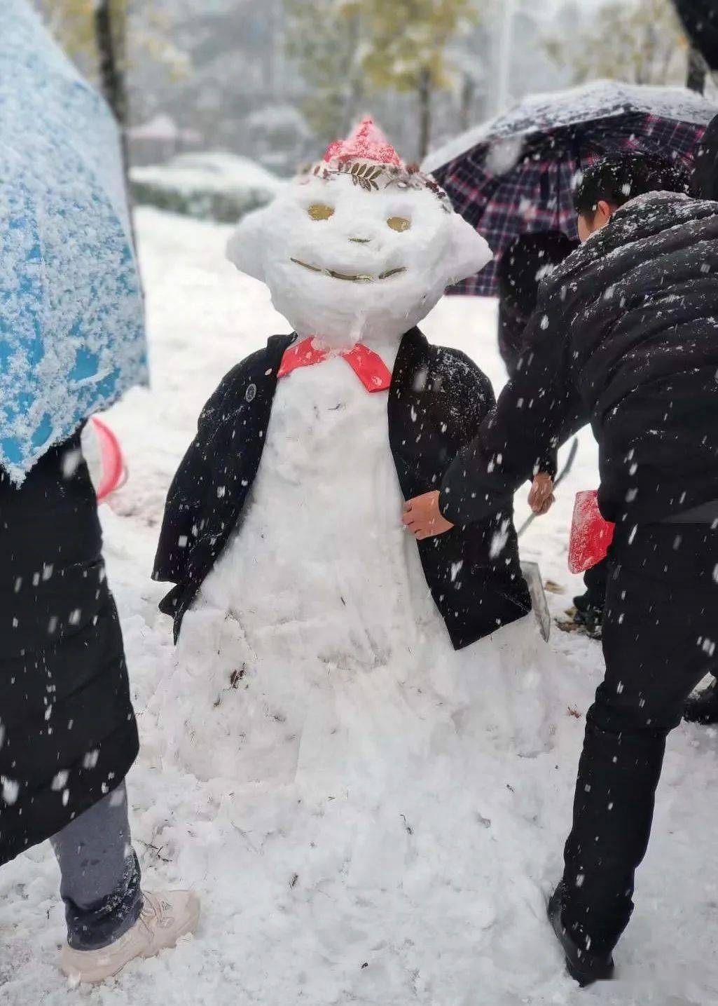 楚雄市民花式堆雪人大赛开赛快看看谁的创意最拉风