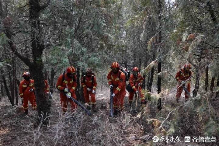 潍坊消防组织开展森林火灾扑救实战拉动演练