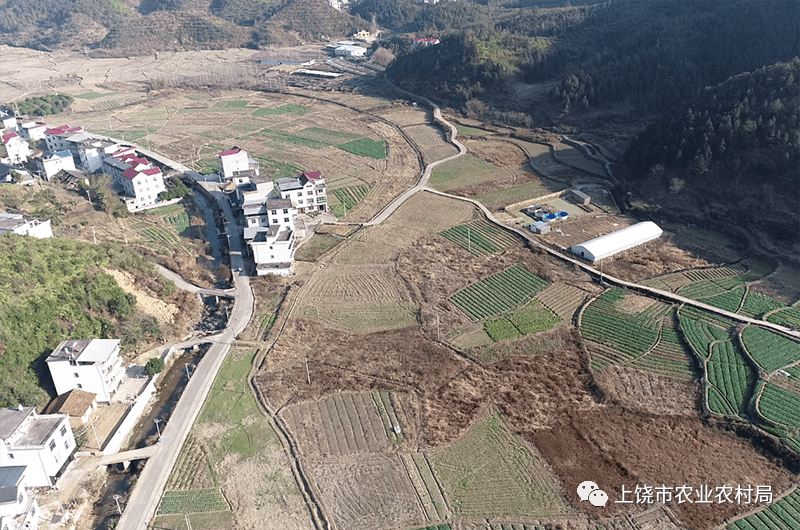 玉山县:跑出高标准农田建设加速度_项目_工作_樟村镇