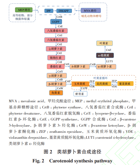 摘要:类胡萝卜素是广泛存在于高等植物,微生物和藻类中的一大类天然