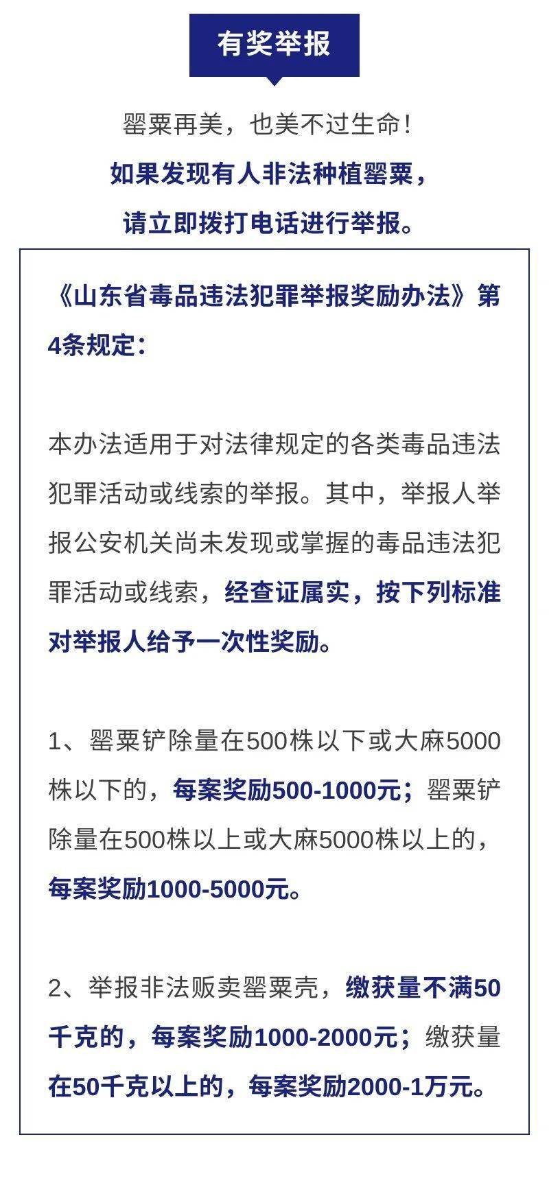 山东发布重要通告!_种植_罂粟_非法