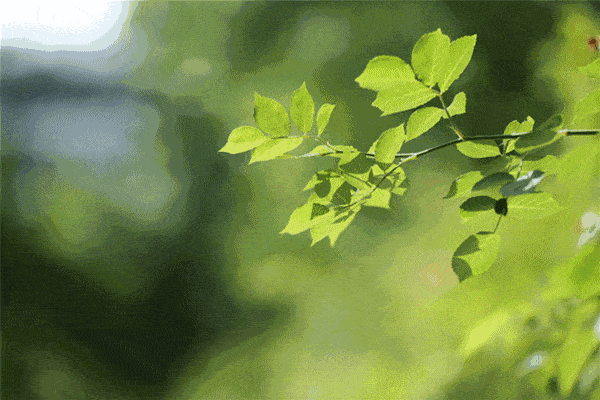 生命_春雨_春水