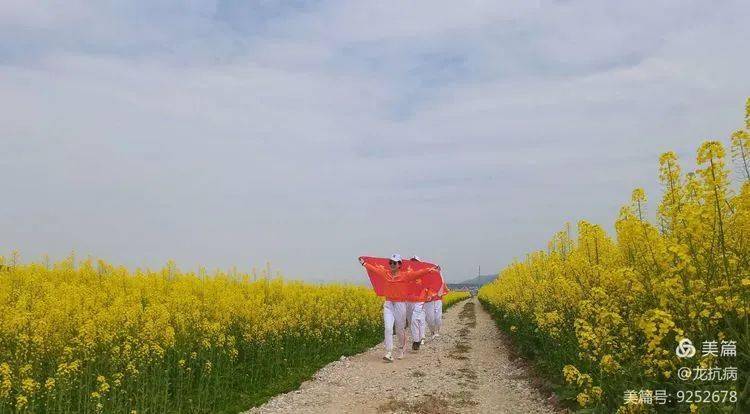 ▍图文:龙抗病掌上永新便民小程序找对象,脱单请点击:掌上永新相亲