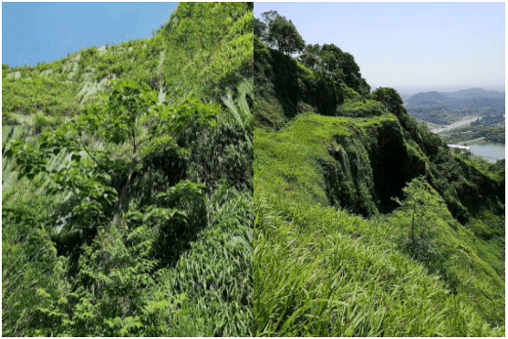 全面推进绿色矿山建设，广东力争在采矿山100%“达绿”