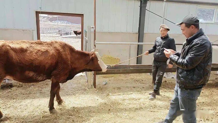 "交易市场内,一派繁忙景象.