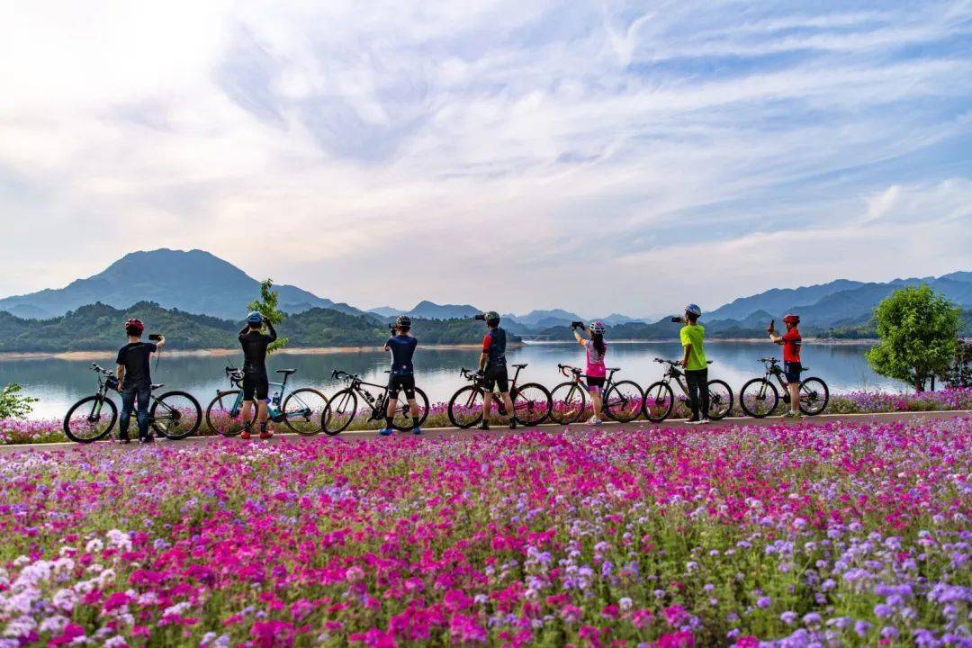 游在千岛湖,绿道骑行不可错过,千岛湖大道沿湖设有骑行绿道,体验不一